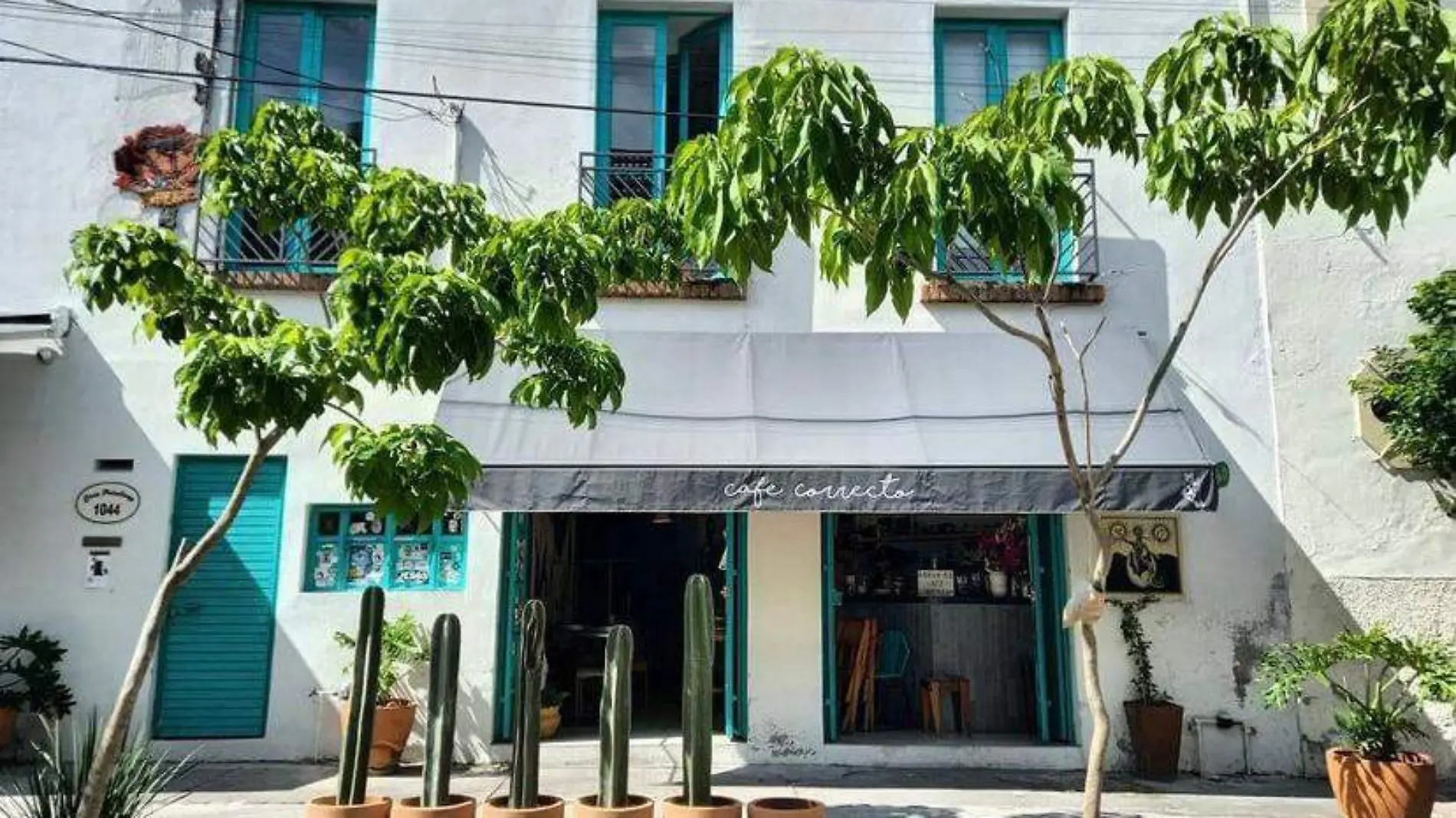 Café Colonia Americana